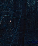 House_at_the_End_of_the_Street__289829.jpg