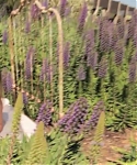 Marie_Claire_UK_28268429_5BBehind_the_Scenes5D.jpg