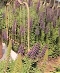 Marie_Claire_UK_28268529_5BBehind_the_Scenes5D.jpg