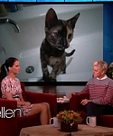 Filename=November_212C_2012_-__The_Ellen_DeGeneres_Show_28108129.jpg
Filesize=84KiB
Dimensions=1280x720
Date added=Apr 03, 2014 November_212C_2012_-__The_Ellen_DeGeneres_Show_28108129.jpg