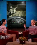 Filename=November_212C_2012_-__The_Ellen_DeGeneres_Show_28117429.jpg
Filesize=91KiB
Dimensions=1280x720
Date added=Apr 04, 2014 November_212C_2012_-__The_Ellen_DeGeneres_Show_28117429.jpg
