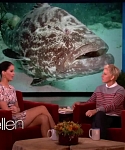 November_212C_2012_-__The_Ellen_DeGeneres_Show_2862829.jpg