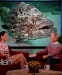 November_212C_2012_-__The_Ellen_DeGeneres_Show_2864029.jpg