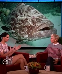 November_212C_2012_-__The_Ellen_DeGeneres_Show_2871929.jpg