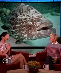 Filename=November_212C_2012_-__The_Ellen_DeGeneres_Show_2872229.jpg
Filesize=99KiB
Dimensions=1280x720
Date added=Apr 03, 2014 November_212C_2012_-__The_Ellen_DeGeneres_Show_2872229.jpg