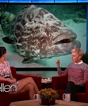 Filename=November_212C_2012_-__The_Ellen_DeGeneres_Show_2878529.jpg
Filesize=105KiB
Dimensions=1280x720
Date added=Apr 03, 2014 November_212C_2012_-__The_Ellen_DeGeneres_Show_2878529.jpg