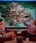 Filename=November_212C_2012_-__The_Ellen_DeGeneres_Show_2880129.jpg
Filesize=101KiB
Dimensions=1280x720
Date added=Apr 03, 2014 November_212C_2012_-__The_Ellen_DeGeneres_Show_2880129.jpg