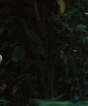The_Hunger_Games_Catching_Fire_2013_1080p_BluRay_x264_AAC_-_Ozlem_07027.jpg