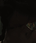 The_Hunger_Games_Catching_Fire_2013_1080p_BluRay_x264_AAC_-_Ozlem_07275.jpg