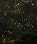The_Hunger_Games_Catching_Fire_2013_1080p_BluRay_x264_AAC_-_Ozlem_07341.jpg