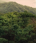 The_Hunger_Games_Catching_Fire_2013_1080p_BluRay_x264_AAC_-_Ozlem_07390.jpg