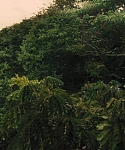 The_Hunger_Games_Catching_Fire_2013_1080p_BluRay_x264_AAC_-_Ozlem_07395.jpg