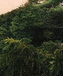 The_Hunger_Games_Catching_Fire_2013_1080p_BluRay_x264_AAC_-_Ozlem_07397.jpg