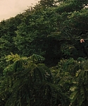 The_Hunger_Games_Catching_Fire_2013_1080p_BluRay_x264_AAC_-_Ozlem_07422.jpg