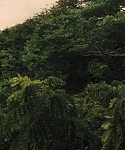 The_Hunger_Games_Catching_Fire_2013_1080p_BluRay_x264_AAC_-_Ozlem_07424.jpg