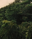 The_Hunger_Games_Catching_Fire_2013_1080p_BluRay_x264_AAC_-_Ozlem_07426.jpg