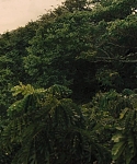 The_Hunger_Games_Catching_Fire_2013_1080p_BluRay_x264_AAC_-_Ozlem_07427.jpg