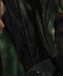 The_Hunger_Games_Catching_Fire_2013_1080p_BluRay_x264_AAC_-_Ozlem_07492.jpg