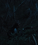 Filename=The_Hunger_Games_Catching_Fire_2013_1080p_BluRay_x264_AAC_-_Ozlem_07970.jpg
Filesize=97KiB
Dimensions=1920x1080
Date added=Mar 31, 2014 The_Hunger_Games_Catching_Fire_2013_1080p_BluRay_x264_AAC_-_Ozlem_07970.jpg