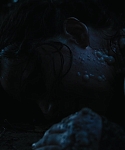 Filename=The_Hunger_Games_Catching_Fire_2013_1080p_BluRay_x264_AAC_-_Ozlem_08072.jpg
Filesize=80KiB
Dimensions=1920x1080
Date added=Mar 31, 2014 The_Hunger_Games_Catching_Fire_2013_1080p_BluRay_x264_AAC_-_Ozlem_08072.jpg