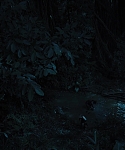 Filename=The_Hunger_Games_Catching_Fire_2013_1080p_BluRay_x264_AAC_-_Ozlem_08265.jpg
Filesize=211KiB
Dimensions=1920x1080
Date added=Mar 31, 2014 The_Hunger_Games_Catching_Fire_2013_1080p_BluRay_x264_AAC_-_Ozlem_08265.jpg