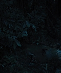 Filename=The_Hunger_Games_Catching_Fire_2013_1080p_BluRay_x264_AAC_-_Ozlem_08266.jpg
Filesize=197KiB
Dimensions=1920x1080
Date added=Mar 31, 2014 The_Hunger_Games_Catching_Fire_2013_1080p_BluRay_x264_AAC_-_Ozlem_08266.jpg