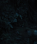 Filename=The_Hunger_Games_Catching_Fire_2013_1080p_BluRay_x264_AAC_-_Ozlem_08269.jpg
Filesize=186KiB
Dimensions=1920x1080
Date added=Mar 31, 2014 The_Hunger_Games_Catching_Fire_2013_1080p_BluRay_x264_AAC_-_Ozlem_08269.jpg