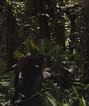 Filename=The_Hunger_Games_Catching_Fire_2013_1080p_BluRay_x264_AAC_-_Ozlem_09426.jpg
Filesize=238KiB
Dimensions=1920x1080
Date added=Mar 31, 2014 The_Hunger_Games_Catching_Fire_2013_1080p_BluRay_x264_AAC_-_Ozlem_09426.jpg