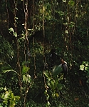 Filename=The_Hunger_Games_Catching_Fire_2013_1080p_BluRay_x264_AAC_-_Ozlem_09451.jpg
Filesize=405KiB
Dimensions=1920x1080
Date added=Mar 31, 2014 The_Hunger_Games_Catching_Fire_2013_1080p_BluRay_x264_AAC_-_Ozlem_09451.jpg