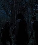 Filename=The_Hunger_Games_Catching_Fire_2013_1080p_BluRay_x264_AAC_-_Ozlem_10174.jpg
Filesize=168KiB
Dimensions=1920x1080
Date added=Mar 31, 2014 The_Hunger_Games_Catching_Fire_2013_1080p_BluRay_x264_AAC_-_Ozlem_10174.jpg