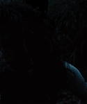 Filename=The_Hunger_Games_Catching_Fire_2013_1080p_BluRay_x264_AAC_-_Ozlem_10378.jpg
Filesize=58KiB
Dimensions=1920x1080
Date added=Mar 31, 2014 The_Hunger_Games_Catching_Fire_2013_1080p_BluRay_x264_AAC_-_Ozlem_10378.jpg