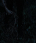Filename=The_Hunger_Games_Catching_Fire_2013_1080p_BluRay_x264_AAC_-_Ozlem_10425.jpg
Filesize=67KiB
Dimensions=1920x1080
Date added=Mar 31, 2014 The_Hunger_Games_Catching_Fire_2013_1080p_BluRay_x264_AAC_-_Ozlem_10425.jpg
