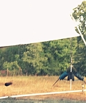 Filename=The_Hunger_Games__Catching_Fire_28Behind_the_Scenes29_287429.jpg
Filesize=219KiB
Dimensions=1920x1080
Date added=Mar 31, 2014 The_Hunger_Games__Catching_Fire_28Behind_the_Scenes29_287429.jpg