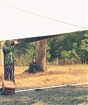 Filename=The_Hunger_Games__Catching_Fire_28Behind_the_Scenes29_287929.jpg
Filesize=336KiB
Dimensions=1920x1080
Date added=Mar 31, 2014 The_Hunger_Games__Catching_Fire_28Behind_the_Scenes29_287929.jpg