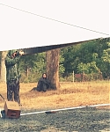 Filename=The_Hunger_Games__Catching_Fire_28Behind_the_Scenes29_288029.jpg
Filesize=347KiB
Dimensions=1920x1080
Date added=Mar 31, 2014 The_Hunger_Games__Catching_Fire_28Behind_the_Scenes29_288029.jpg