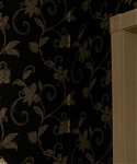 The_Silver_Linings_Playbook_CAPTURES_2812029.jpg