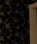 The_Silver_Linings_Playbook_CAPTURES_2812329.jpg