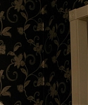 The_Silver_Linings_Playbook_CAPTURES_2812429.jpg