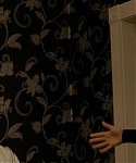 The_Silver_Linings_Playbook_CAPTURES_2813329.jpg