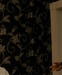 The_Silver_Linings_Playbook_CAPTURES_2813429.jpg