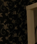 The_Silver_Linings_Playbook_CAPTURES_2813629.jpg