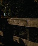 The_Silver_Linings_Playbook_CAPTURES_2814829.jpg