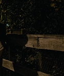 The_Silver_Linings_Playbook_CAPTURES_2814929.jpg