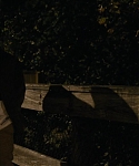 The_Silver_Linings_Playbook_CAPTURES_2815029.jpg