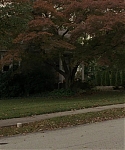 The_Silver_Linings_Playbook_CAPTURES_2821529.jpg