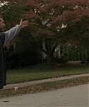 The_Silver_Linings_Playbook_CAPTURES_2821629.jpg