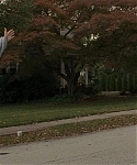 The_Silver_Linings_Playbook_CAPTURES_2821729.jpg