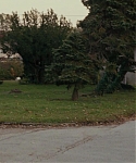 The_Silver_Linings_Playbook_CAPTURES_2822229.jpg