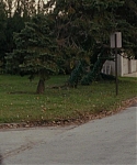 The_Silver_Linings_Playbook_CAPTURES_2822329.jpg