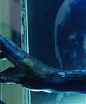 Filename=X_Men_Days_of_Future_Past_2014_2810829.jpg
Filesize=157KiB
Dimensions=1280x534
Date added=Mar 14, 2015 X_Men_Days_of_Future_Past_2014_2810829.jpg